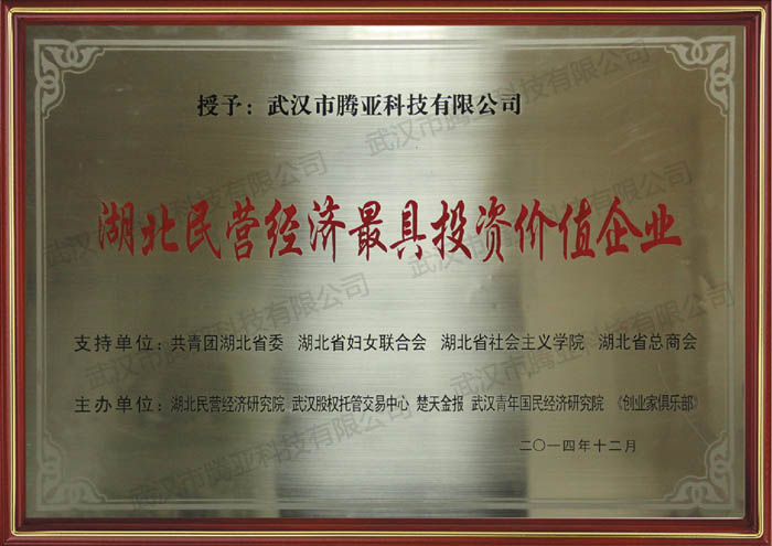 湖北民营经济最具投资价值企业